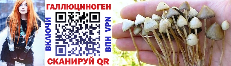 Псилоцибиновые грибы GOLDEN TEACHER  Купить  Назрань 